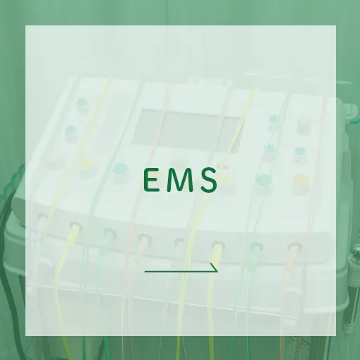 EMS