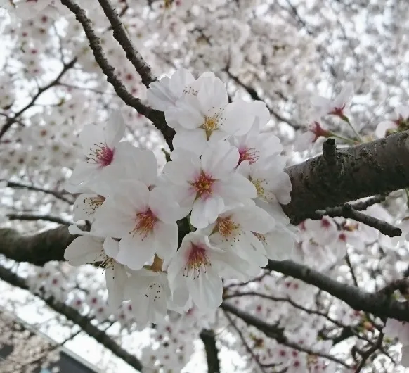 スタッフ紹介